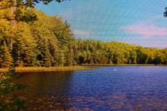 IMG_20210408_111028