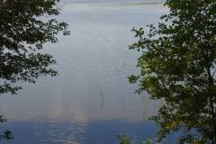 IMG_20210707_150526